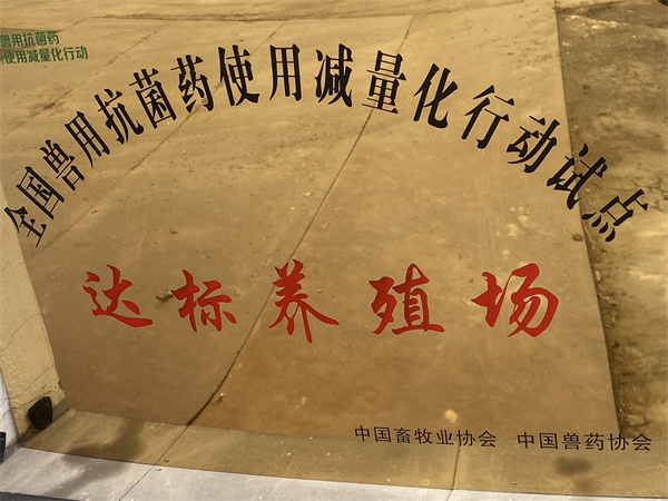 兽用抗菌药使用减量化达标养殖场