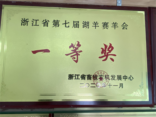 浙江省第七届湖羊赛羊会一等奖